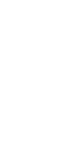 岩 八岐大蛇をイメージした荒々しく幻想的な空間